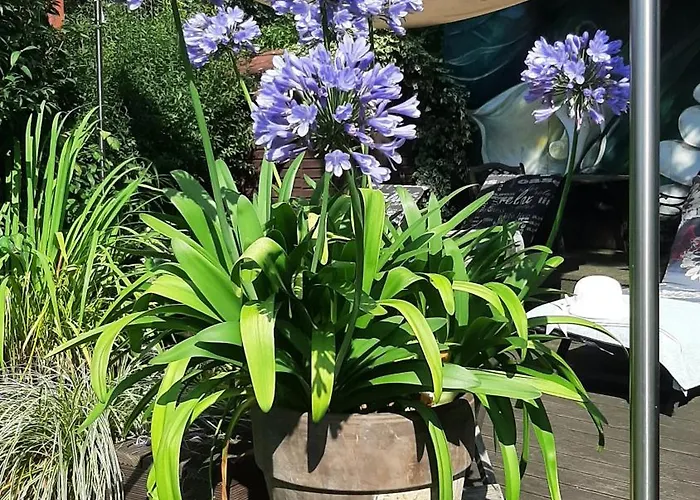 Deluxe Doppelzimmer Apartment Nordhausen