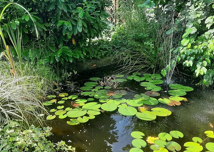 Daire Deluxe Doppelzimmer *