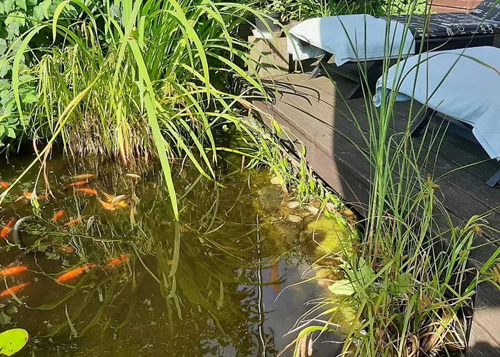 Daire Deluxe Doppelzimmer *